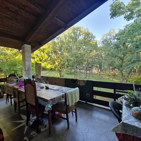 Lodge 